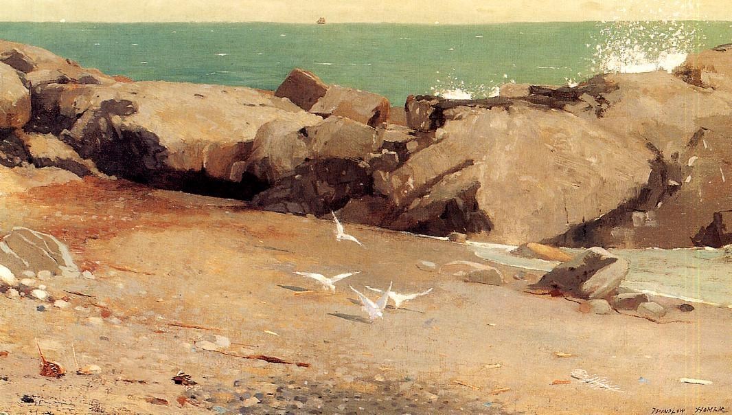 Winslow Homer Rocky Coast and Gulls